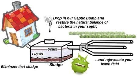 Septic Bomb Live Bacteria- Septic Tank Sludge Destroyer Treatment